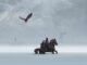 The One Ring Riders in the Snow and Eagle